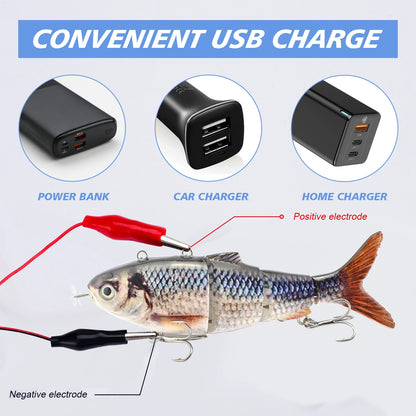 Electronic Fishing Lure